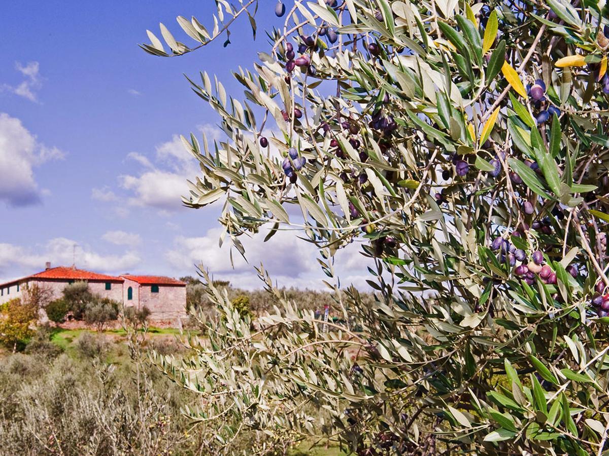 Belvilla By Oyo La Casa Dei Cinque Olivi Quarrata Exterior foto